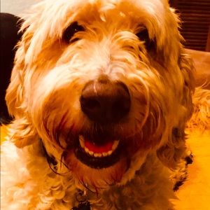 Meet your Posher, Cameron